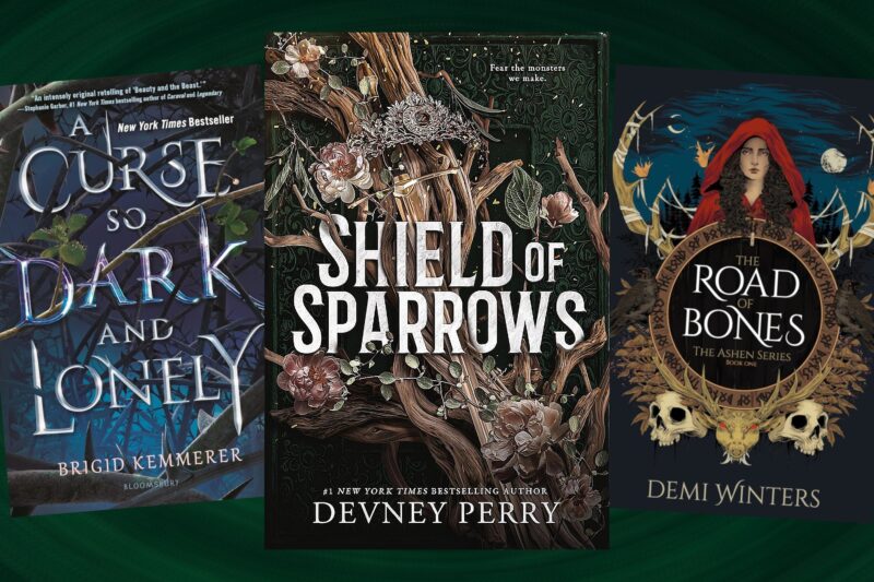 7 Books to Read If You Like Shield of Sparrows